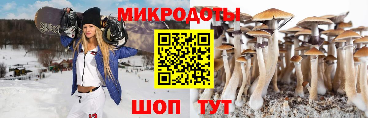 Галлюциногенные грибы Psilocybine cubensis  Вход с VPN  Канаш 