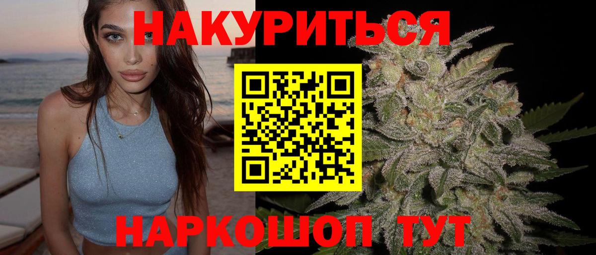 Бошки Шишки план  Вход с VPN  Канабис сатива  Канаш  Марихуана Bruce Banner  МАРИХУАНА LSD WEED 